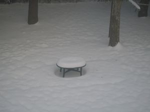18--12--2010.JPG