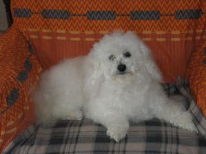 IMGP1252
