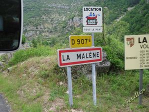 Jetelle-La-Malene-01-border.jpg