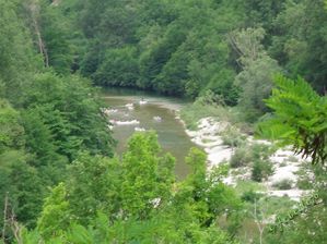 Jetelle-La-Malene-06-border.jpg