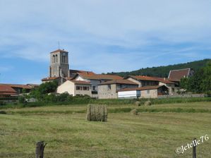 Jetelle-Champoly-05-border.jpg