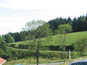 Jetelle-Champoly-06-border.jpg