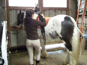 rencontre cheval