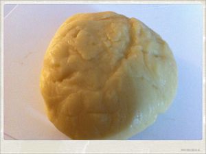 photo-1-copie-5.JPG