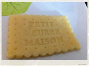 photo-2-copie-5.JPG