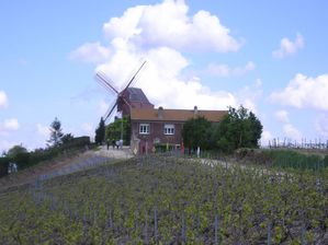 Le moulin (propriété de G.H.Mumm)
