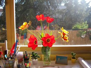 40 Tulipes du Jardin