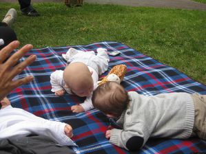 IMG_2563.JPG