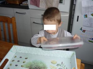 tao-voeux2.JPG