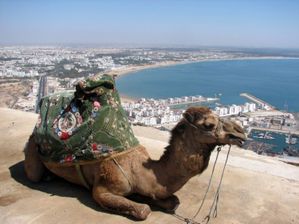 baie-agadir2.jpg