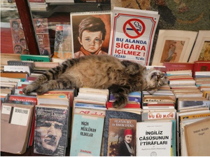 chat ist librairie