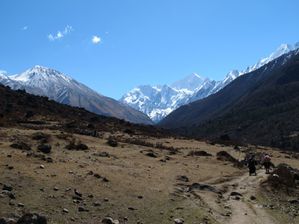 Nepal_Vallee_Langtang--378-.JPG