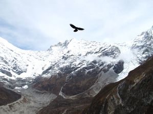 Nepal_Vallee_Langtang--446-.JPG