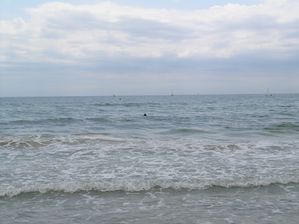 DSCN2794.JPG