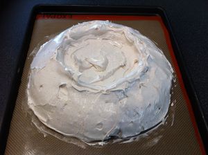 pavlova-3441.JPG