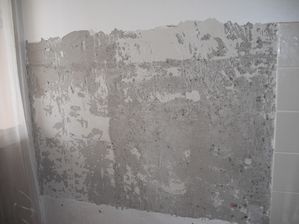 ruines de la semisap 001-copie-1