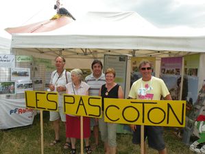 88cham festival
