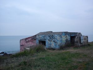 DSC01321