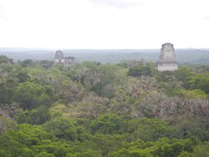 Tikal 047