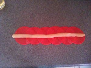 photo--22--copie-1.JPG