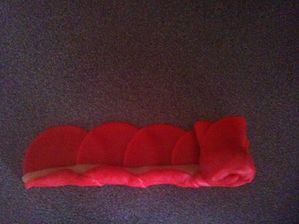 photo--23--copie-1.JPG