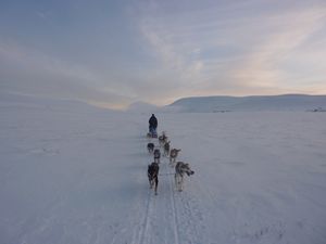 Tom plateau Hodalen5