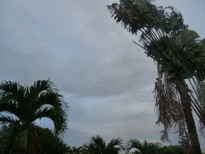 P1010855