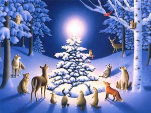 y fond noel 61