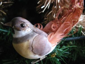 Noel-2009 4309