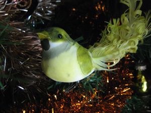 Noel-2009 4312
