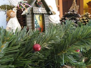 Noel-2009 4338