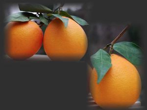 oranges3.001