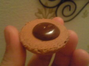 Photo0499
