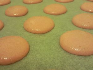 Photo0512