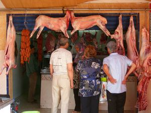 DSCN0380-copie-1.JPG