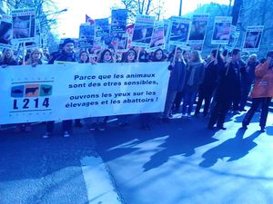 manif-elevage-intensif-mars-2013.jpg
