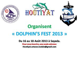 Annonce-dolphins-fest-2013.jpg