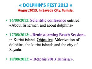 Presentation-des-trois-jours-du-fest-des-dauphins--english.jpg