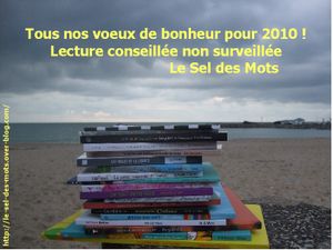 Voeux 2010 10X13