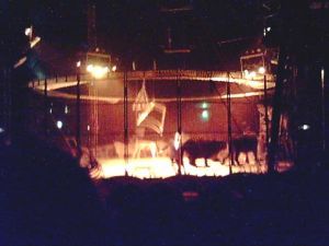 02-15-06-2036250.jpg