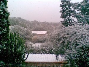 Photo001-copie-1.jpg