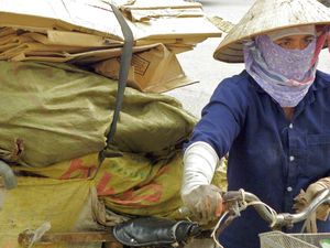 HOCHIMINH (1)