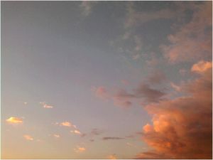 2010-06-14.jpg