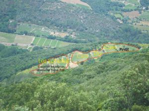 clos du cure
