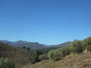 vigne-fevrier.jpg