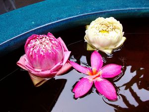 vietnam2010-367.jpg