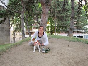 null IMG 0643