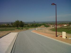 IMG00051-20110414-1129.jpg