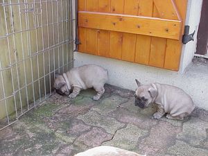 15-3-10-1ere-sortie-2.JPG