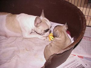 6-3-10-maman---tu-joues-avec-moi-.JPG